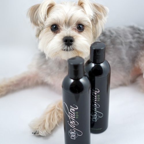 Dog Fashion Spa shampoo and conditioner