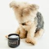 dog lotion is great for brushing your dog, demating and nourishing the coat