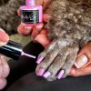 pink dog nail polish non-toxic